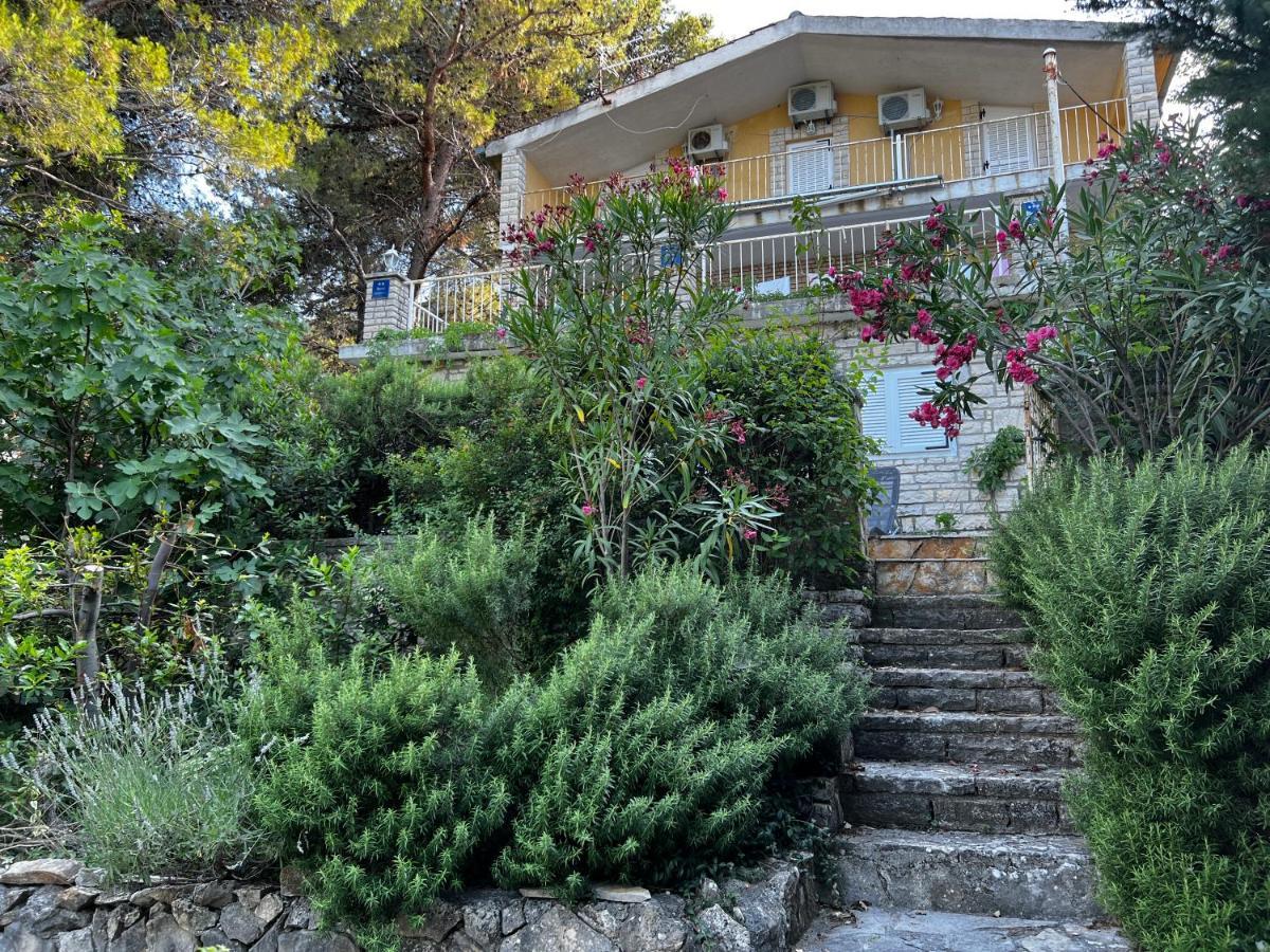 Apartmani Lidija Karin Donji Donji Karin Exterior photo